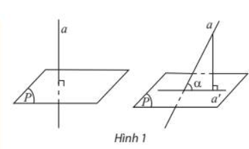 ■Bài 5: Góc giữa đường thẳng và mặt phẳng. Góc nhị diện – CTST