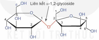 Giải SGK Hóa 12 Bài 5 (Kết nối tri thức): Saccharose và maltose