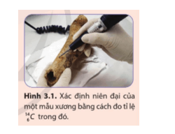 Giải SGK Vật Lí 12 Bài 3 (Cánh diều): Phóng xạ