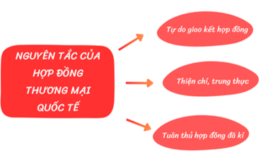 Giải SGK Kinh tế Pháp luật 12 Bài 16 (Chân trời sáng tạo): Một số nguyên tắc cơ bản của Tổ chức Thương mại Thế giới và hợp đồng thương mại quốc tế