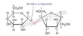 Giải SGK Hóa 12 Bài 4 (Chân trời sáng tạo): Saccharose và maltose