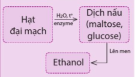 Giải SGK Hóa 12 Bài 4 (Cánh diều): Tính chất hoá học của carbohydrate