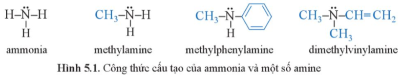 Giải SGK Hóa 12 Bài 5 (Cánh diều): Amine