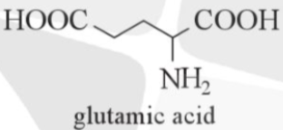 Amino acid – Trang Học trực tuyến 12