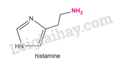 Amine – Trang Học trực tuyến 12